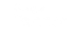 Google Partner