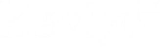 Klaviyo Partner