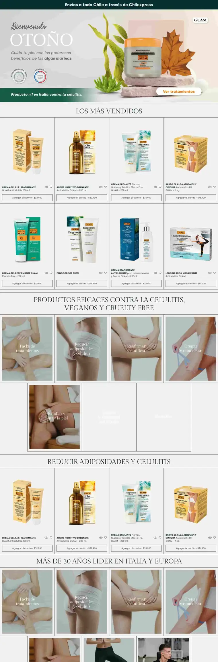 Sitio web de Guam Chile desarrollado por Agencia Chicle